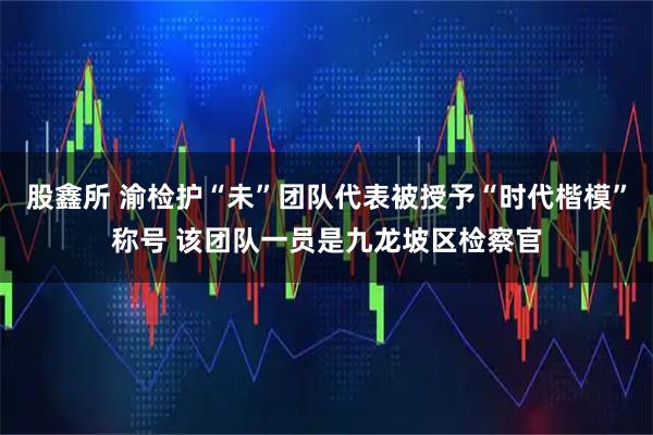 股鑫所 渝检护“未”团队代表被授予“时代楷模”称号 该团队一员是九龙坡区检察官