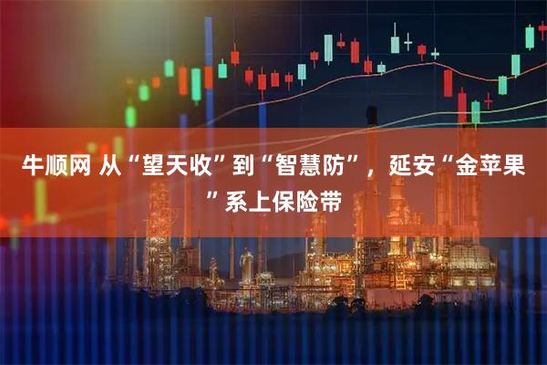 牛顺网 从“望天收”到“智慧防”，延安“金苹果”系上保险带