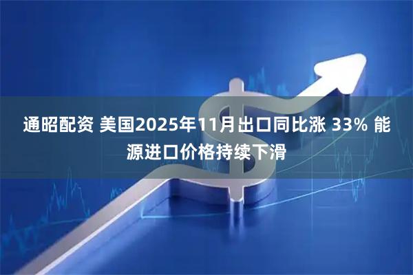 通昭配资 美国2025年11月出口同比涨 33% 能源进口价格持续下滑