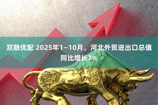 双融优配 2025年1—10月，河北外贸进出口总值同比增长7%