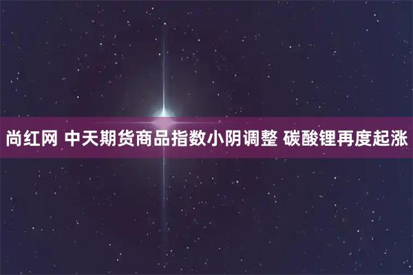 尚红网 中天期货商品指数小阴调整 碳酸锂再度起涨