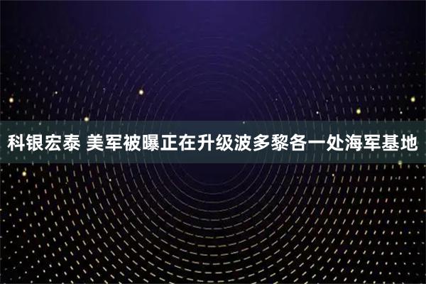 科银宏泰 美军被曝正在升级波多黎各一处海军基地