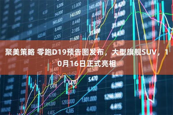 聚美策略 零跑D19预告图发布，大型旗舰SUV，10月16日正式亮相